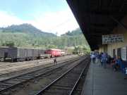 DSCN4090
