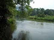 DSCN4098