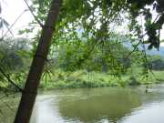 DSCN4101