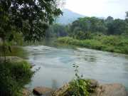 DSCN4103