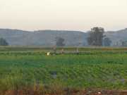 J03_Croisiere_Birmanie-10