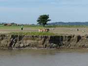 J03_Croisiere_Birmanie-100