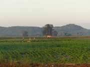 J03_Croisiere_Birmanie-13