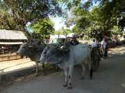 J03_Croisiere_Birmanie-23