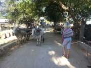 J03_Croisiere_Birmanie-25