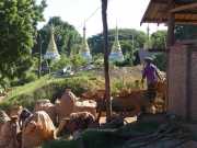 J03_Croisiere_Birmanie-49