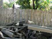 J03_Croisiere_Birmanie-70