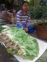 J05_Croisiere_Birmanie-102