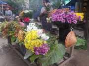 J05_Croisiere_Birmanie-106