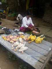 J05_Croisiere_Birmanie-110