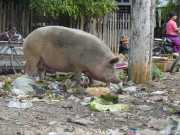 J05_Croisiere_Birmanie-117