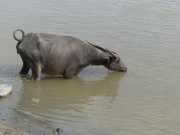 J05_Croisiere_Birmanie-28a