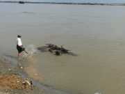 J05_Croisiere_Birmanie-29