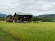 J05_Croisiere_Birmanie-41