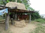 J05_Croisiere_Birmanie-43