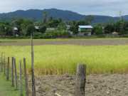 J05_Croisiere_Birmanie-44