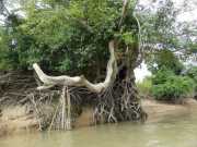 J05_Croisiere_Birmanie-55