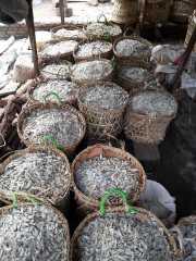 J05_Croisiere_Birmanie-71