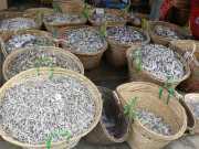 J05_Croisiere_Birmanie-72