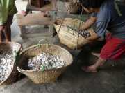 J05_Croisiere_Birmanie-74