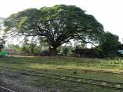 J05_Croisiere_Birmanie-91