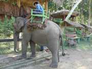 J06_Croisiere_Birmanie-104