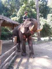 J06_Croisiere_Birmanie-110