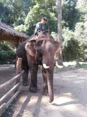 J06_Croisiere_Birmanie-111