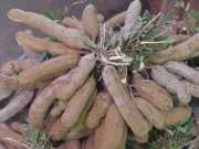 J06_Croisiere_Birmanie-129