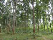 J06_Croisiere_Birmanie-44