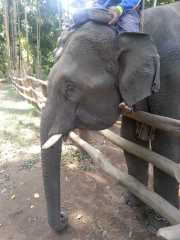 J06_Croisiere_Birmanie-48a