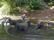 J06_Croisiere_Birmanie-51