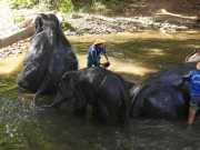 J06_Croisiere_Birmanie-55