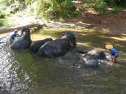 J06_Croisiere_Birmanie-59