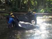 J06_Croisiere_Birmanie-60