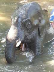 J06_Croisiere_Birmanie-66