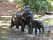 J06_Croisiere_Birmanie-71