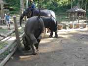 J06_Croisiere_Birmanie-74