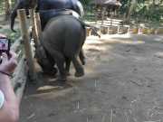 J06_Croisiere_Birmanie-75