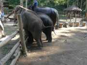 J06_Croisiere_Birmanie-76