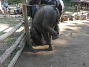 J06_Croisiere_Birmanie-77