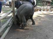 J06_Croisiere_Birmanie-78