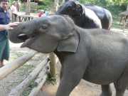 J06_Croisiere_Birmanie-79