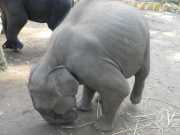 J06_Croisiere_Birmanie-80