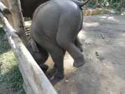 J06_Croisiere_Birmanie-81