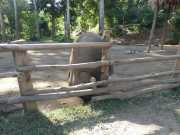 J06_Croisiere_Birmanie-82