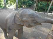 J06_Croisiere_Birmanie-83