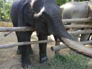 J06_Croisiere_Birmanie-84