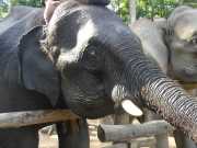 J06_Croisiere_Birmanie-85