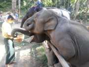 J06_Croisiere_Birmanie-88